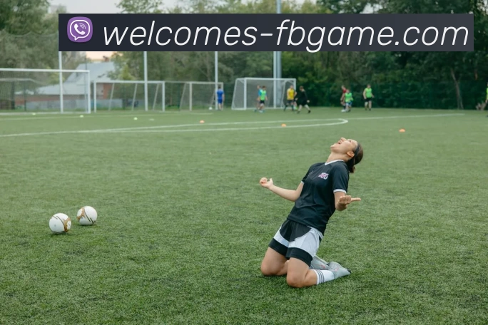 FB体育官网APP 封面图